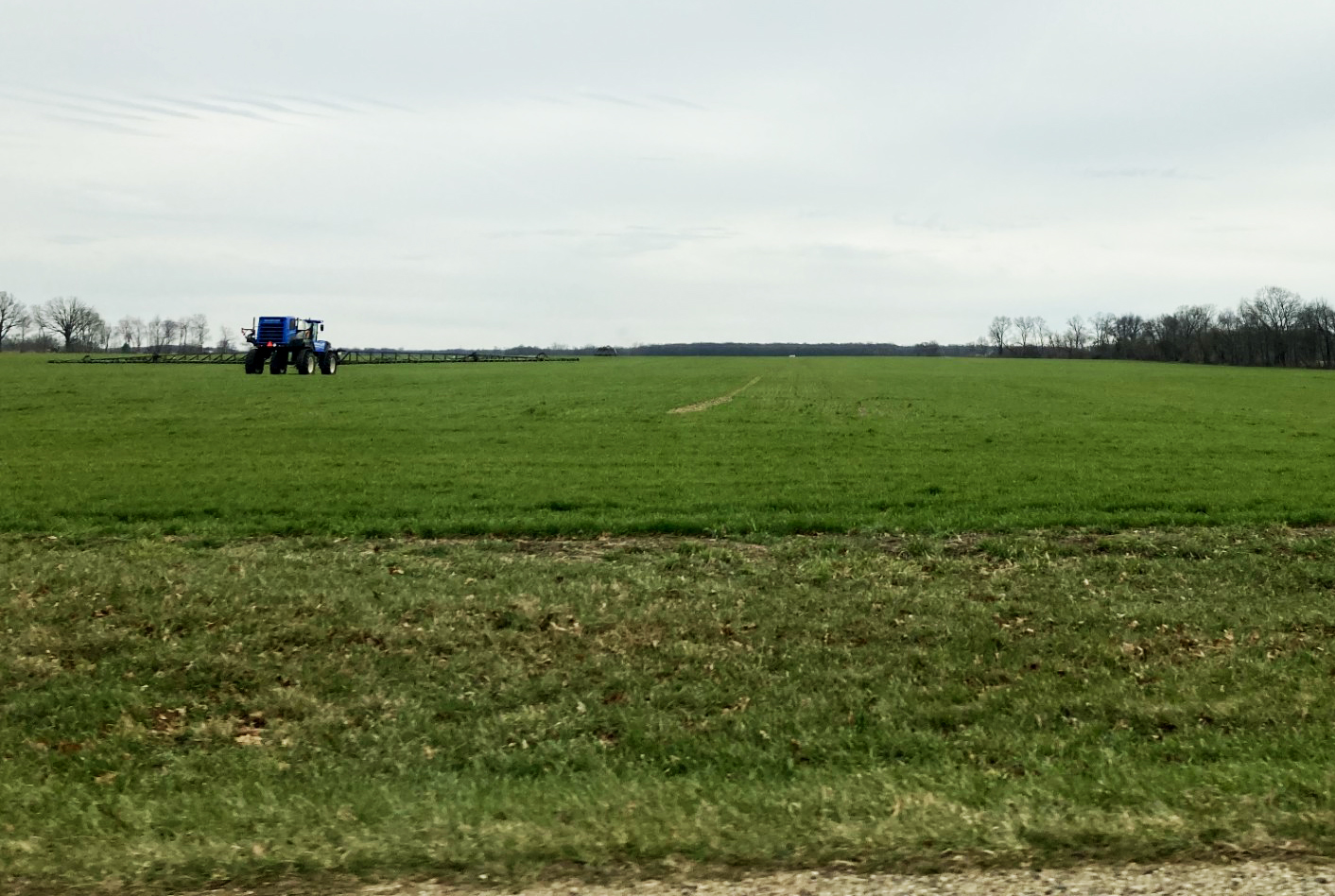Wide view of a green field with a tractor-mounted sprayer applying herbicide across a cover crop, with spray booms extended and a line of trees visible along the horizon under a cloudy sky.